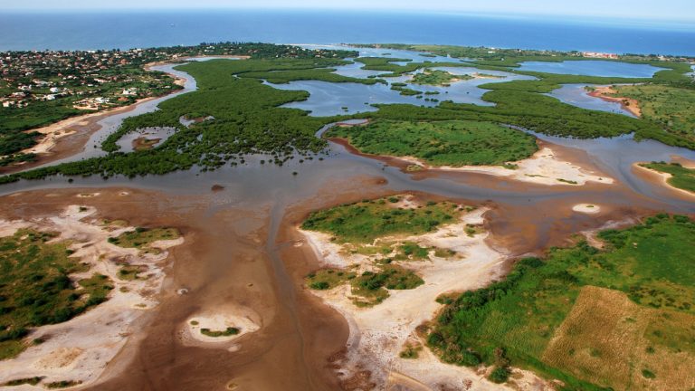 🌿 La Lagune de Somone : Nature préservée et balade en pirogue depuis Saly